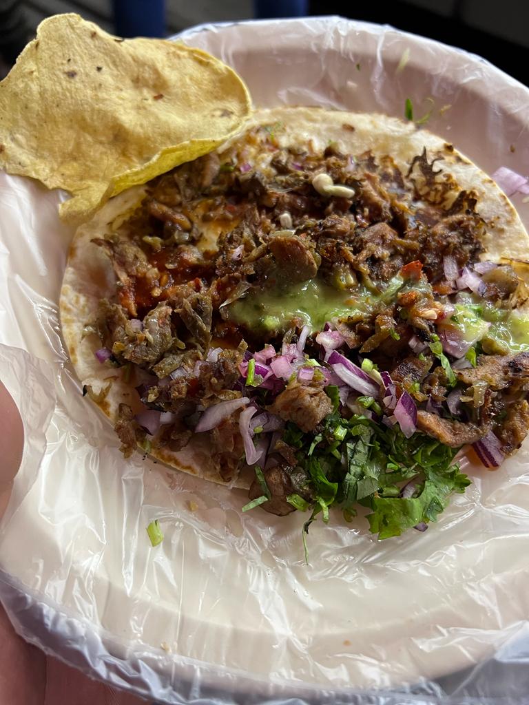 Welt Tours - León, Mexico LIVE NOW - Retainer